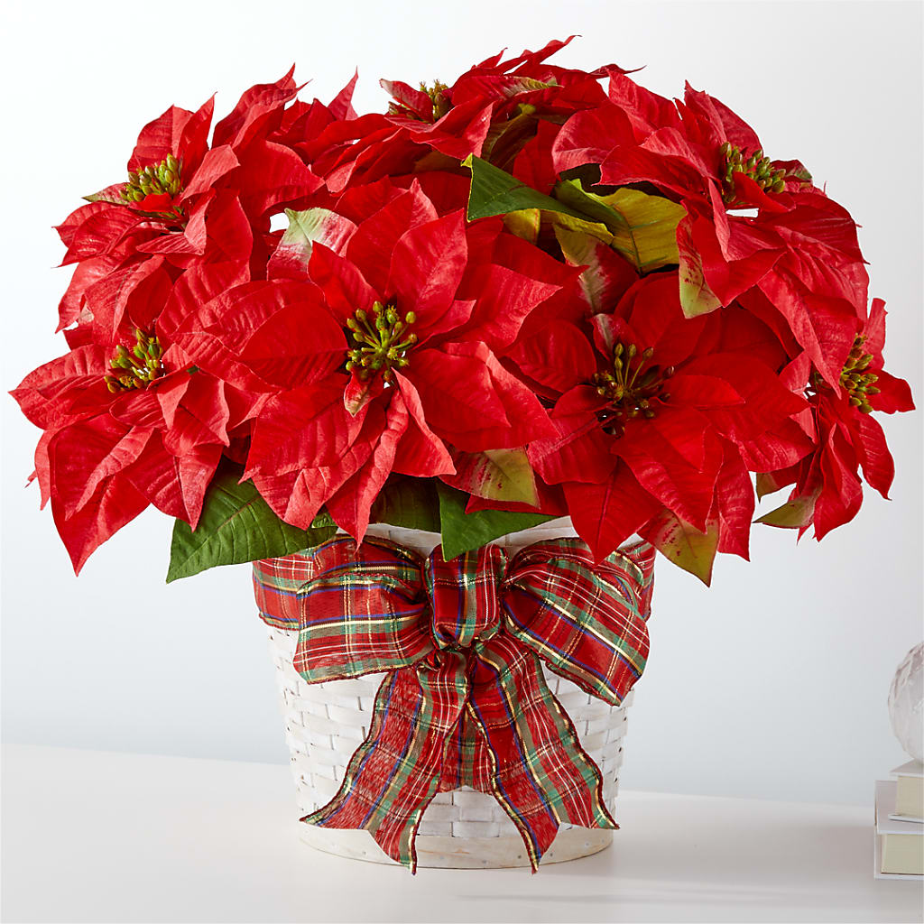 Happiest Holidays Poinsettia – Lighthouse Florist And Custom Designs, Rochester NY