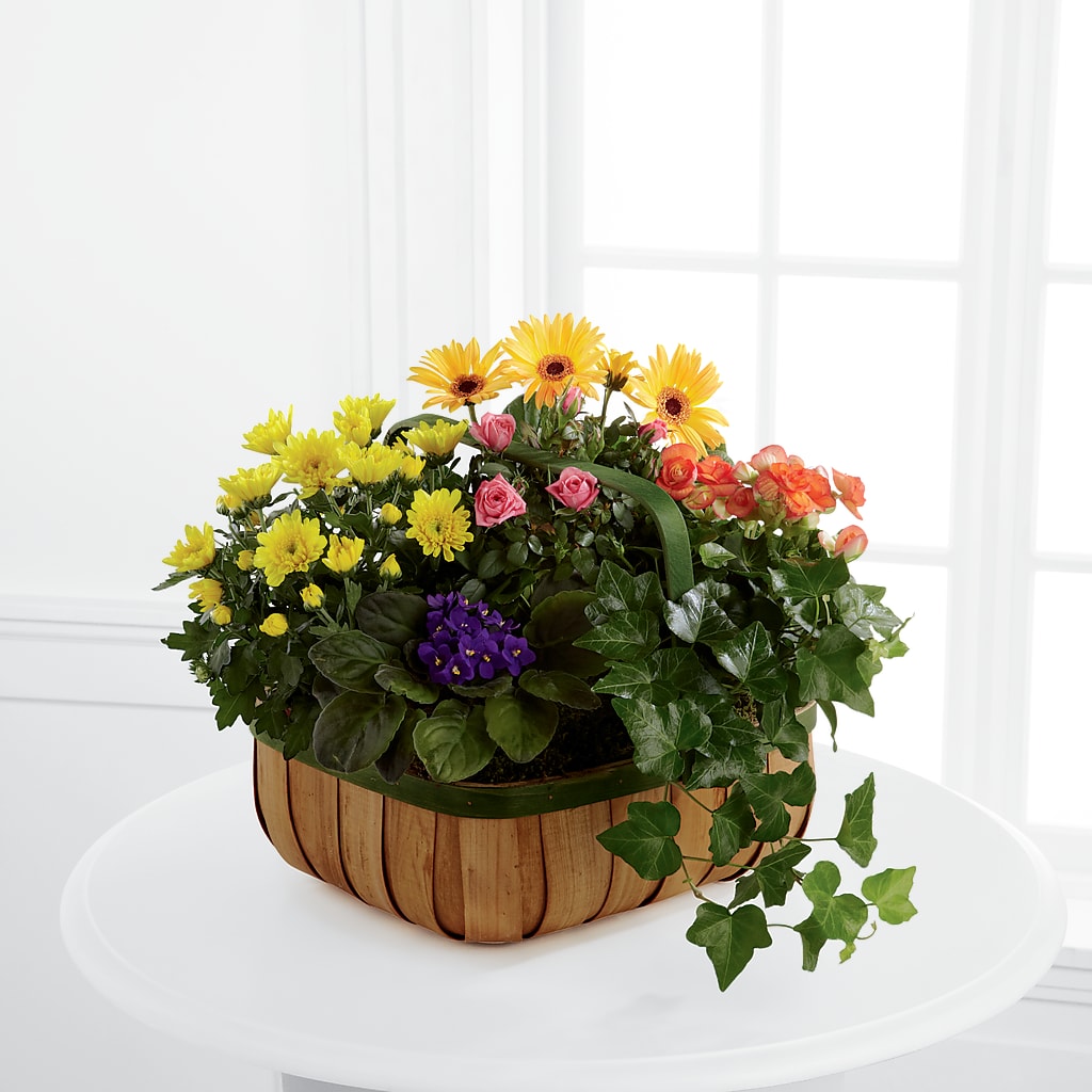 Gentle Blossoms Basket – Lighthouse Florist And Custom Designs, Rochester NY
