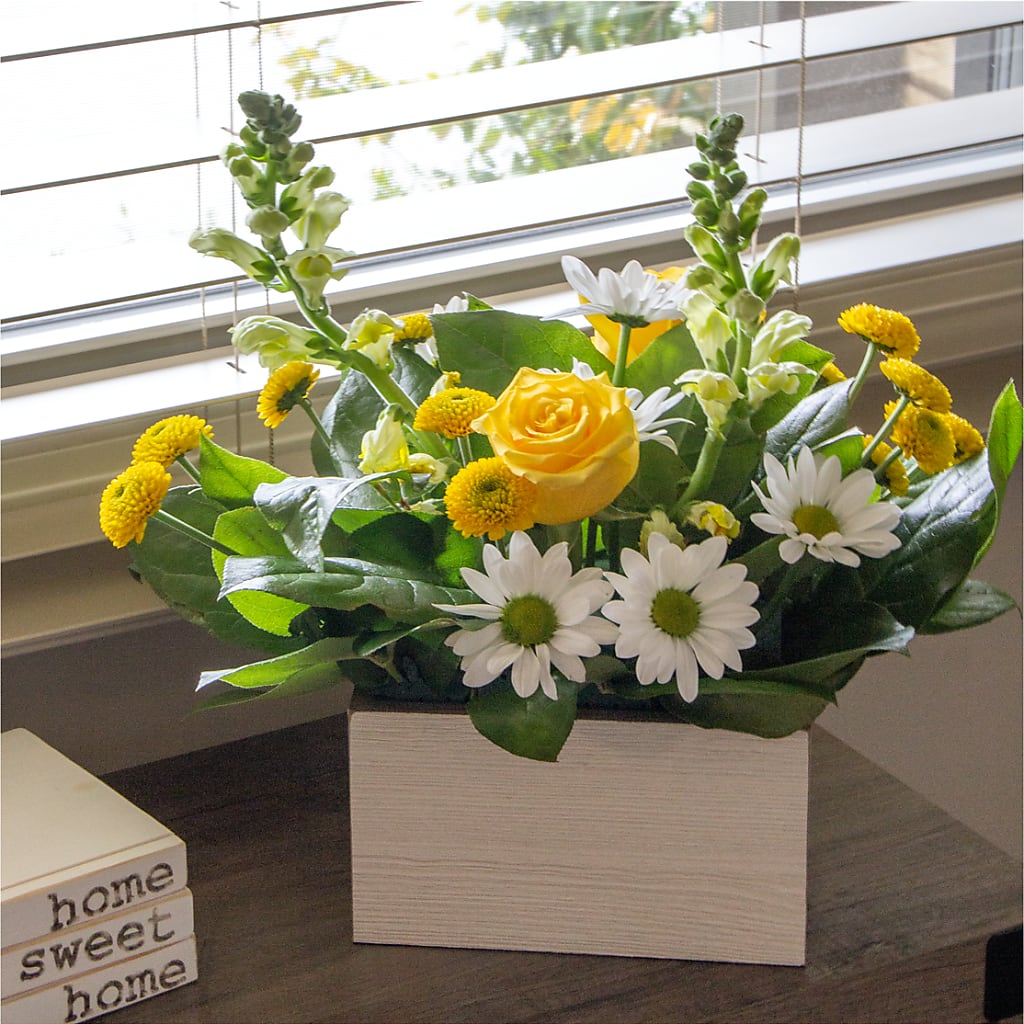 Sun Salutation Box Bouquet – Lighthouse Florist And Custom Designs, Rochester NY
