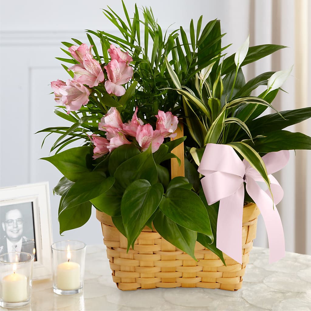 Living Spirit Dishgarden – Lighthouse Florist And Custom Designs, Rochester NY
