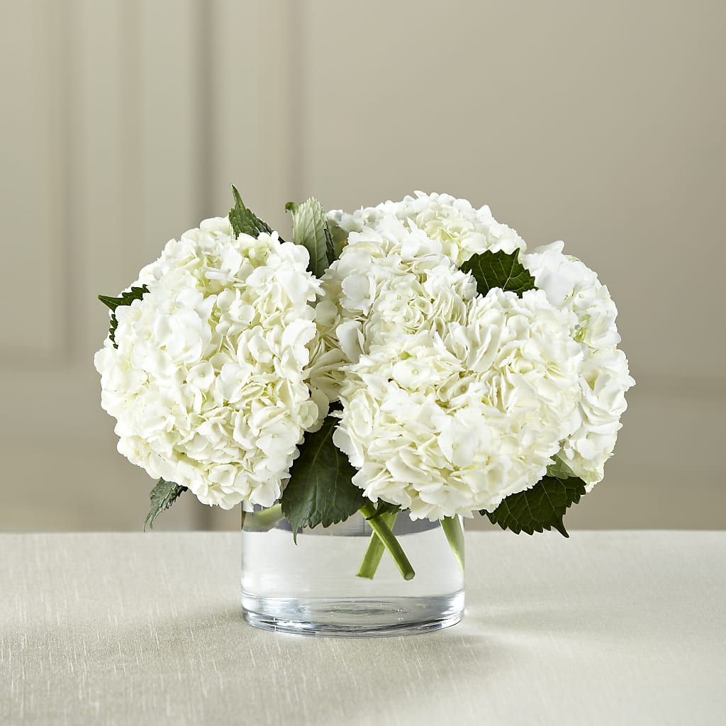 White Hydrangea Bouquet – Lighthouse Florist And Custom Designs, Rochester NY