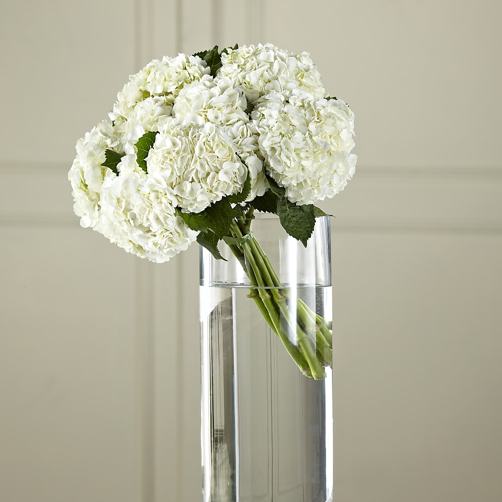 White Hydrangea Hand-Tied Bouquet – Lighthouse Florist And Custom Designs, Rochester NY
