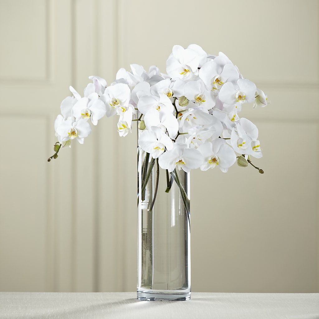 White Phalaenopsis Bouquet – Lighthouse Florist And Custom Designs, Rochester NY