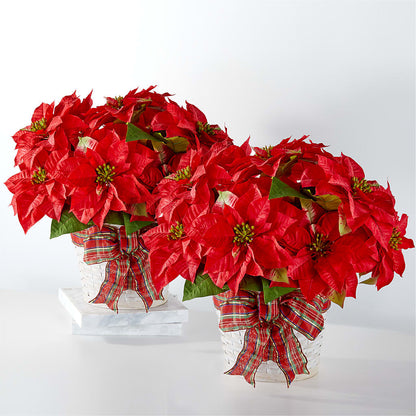 Happiest Holidays Poinsettia Bundle –  Lighthouse Florist And Custom Designs, Rochester NY