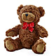 Adorable Plush Bear –  Lighthouse Florist And Custom Designs, Rochester NY