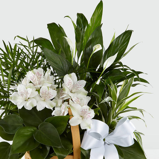 Peace & Serenity Dishgarden –  Lighthouse Florist And Custom Designs, Rochester NY