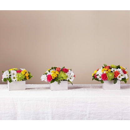 Sorbet Bouquet –  Lighthouse Florist And Custom Designs, Rochester NY