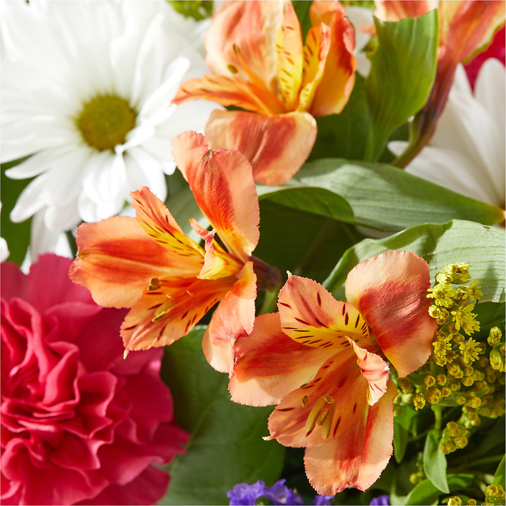 Oopsie Daisy Box Bouquet –  Lighthouse Florist And Custom Designs, Rochester NY