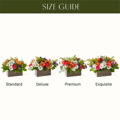 Oopsie Daisy Box Bouquet –  Lighthouse Florist And Custom Designs, Rochester NY