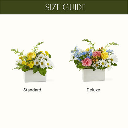 Sun Salutation Box Bouquet –  Lighthouse Florist And Custom Designs, Rochester NY