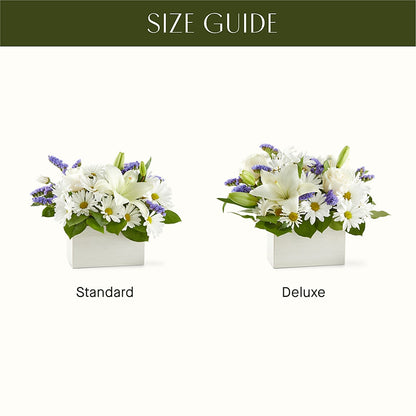 Beyond Blue Box Bouquet –  Lighthouse Florist And Custom Designs, Rochester NY