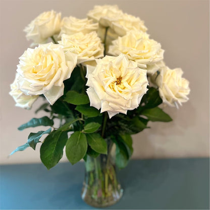 Long Stem Yellow Rose Bouquet –  Lighthouse Florist And Custom Designs, Rochester NY