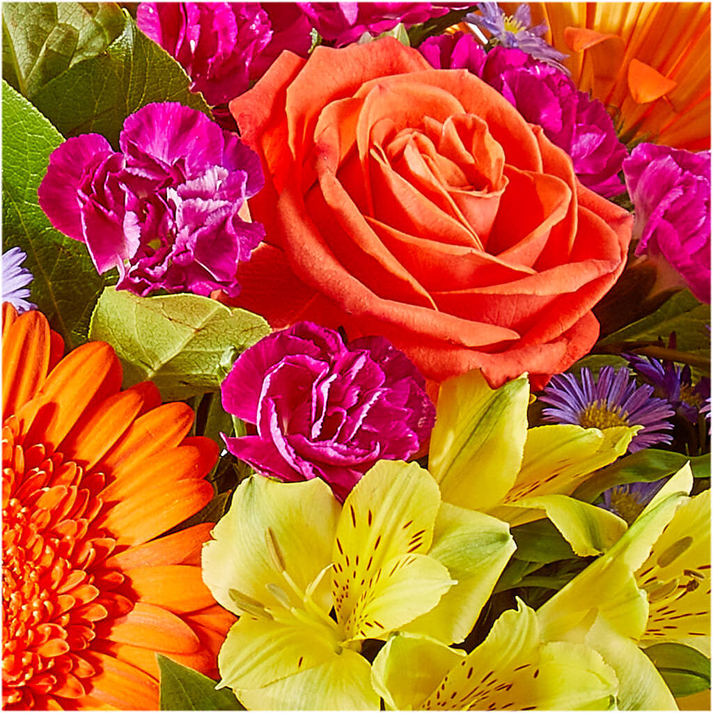 Tricks & Treats Pumpkin –  Lighthouse Florist And Custom Designs, Rochester NY