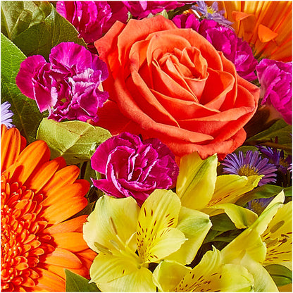Tricks & Treats Pumpkin –  Lighthouse Florist And Custom Designs, Rochester NY