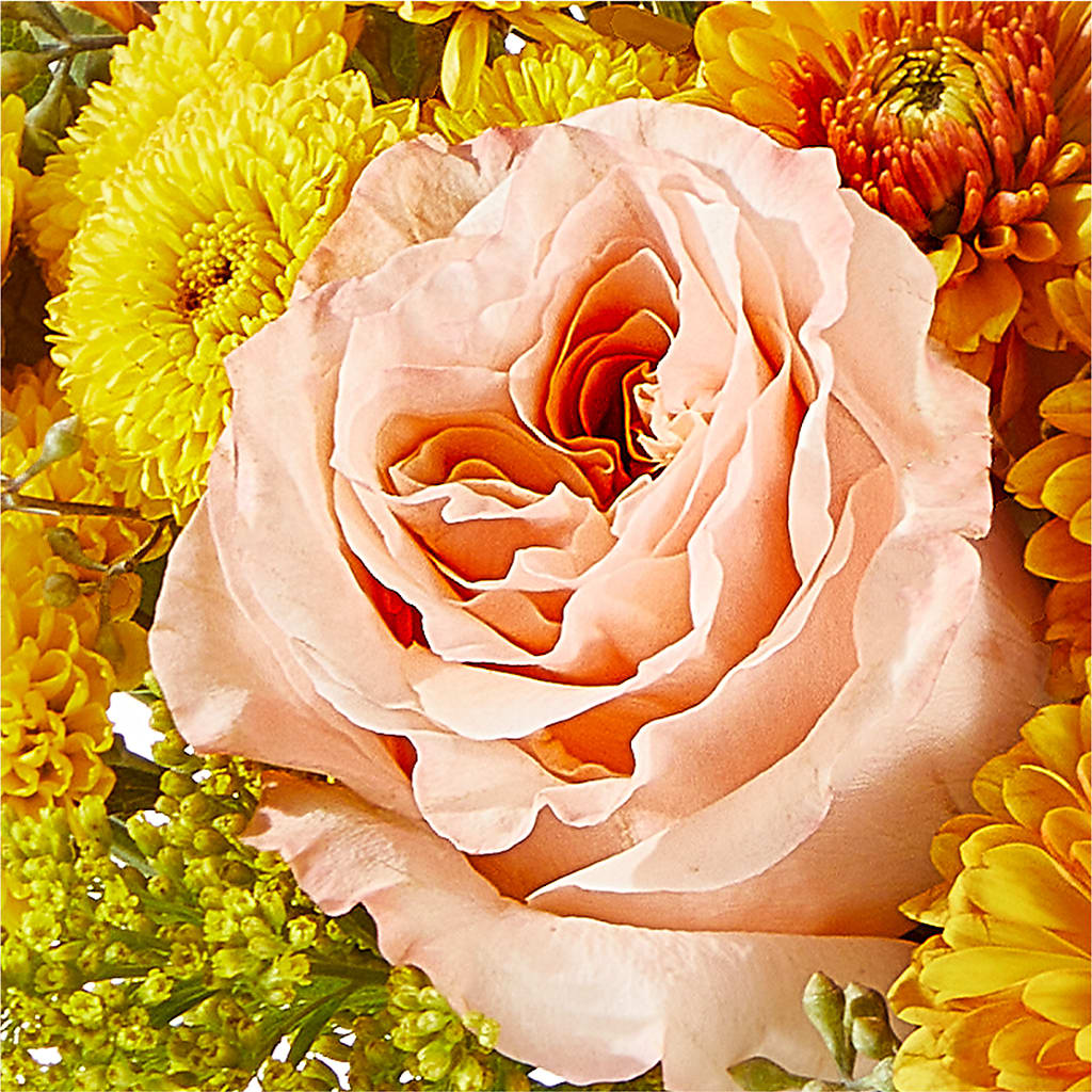 Peachy Pumpkin –  Lighthouse Florist And Custom Designs, Rochester NY
