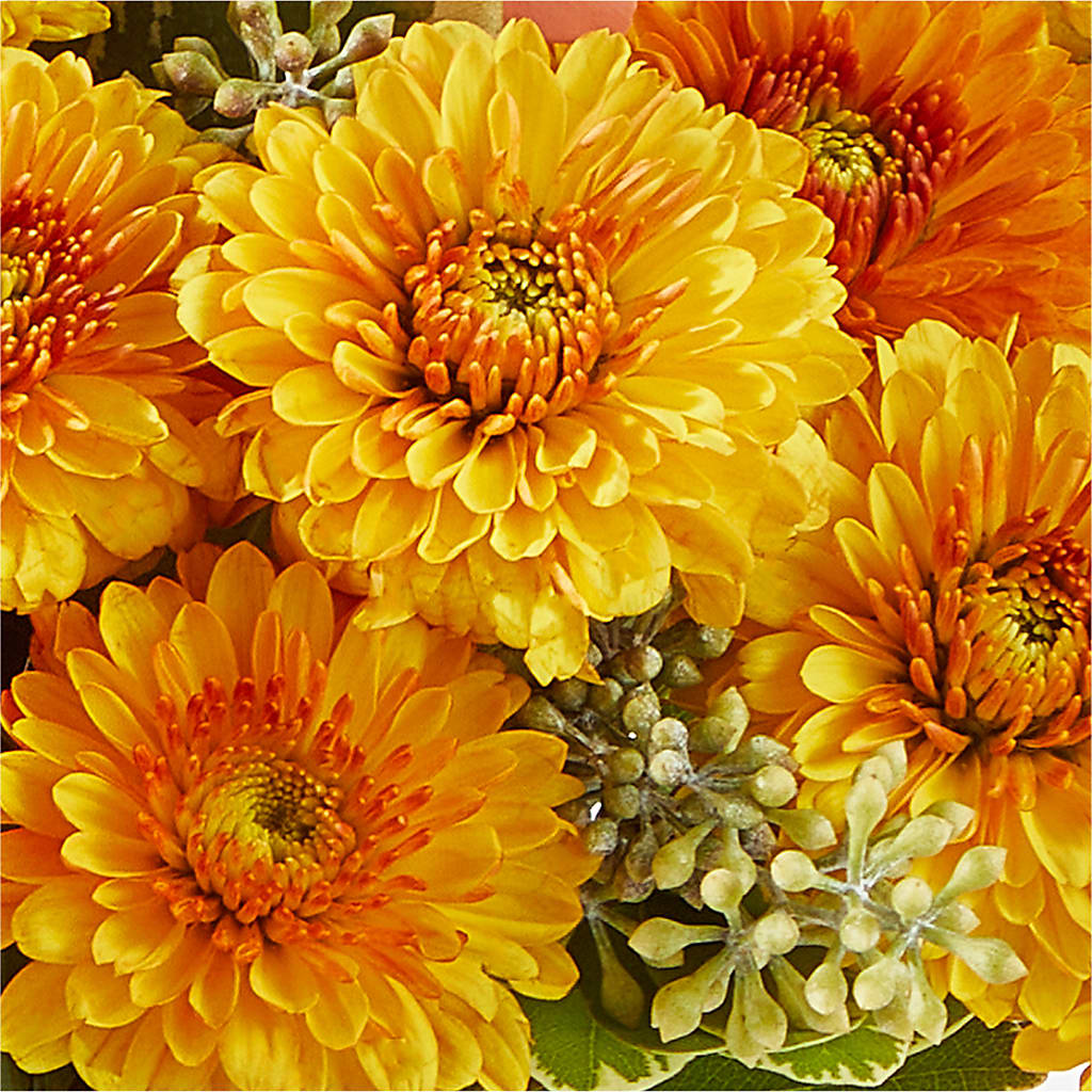 Peachy Pumpkin –  Lighthouse Florist And Custom Designs, Rochester NY
