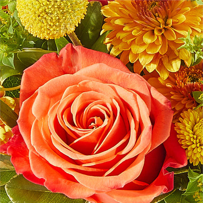 Gourdgeous Pumpkin –  Lighthouse Florist And Custom Designs, Rochester NY