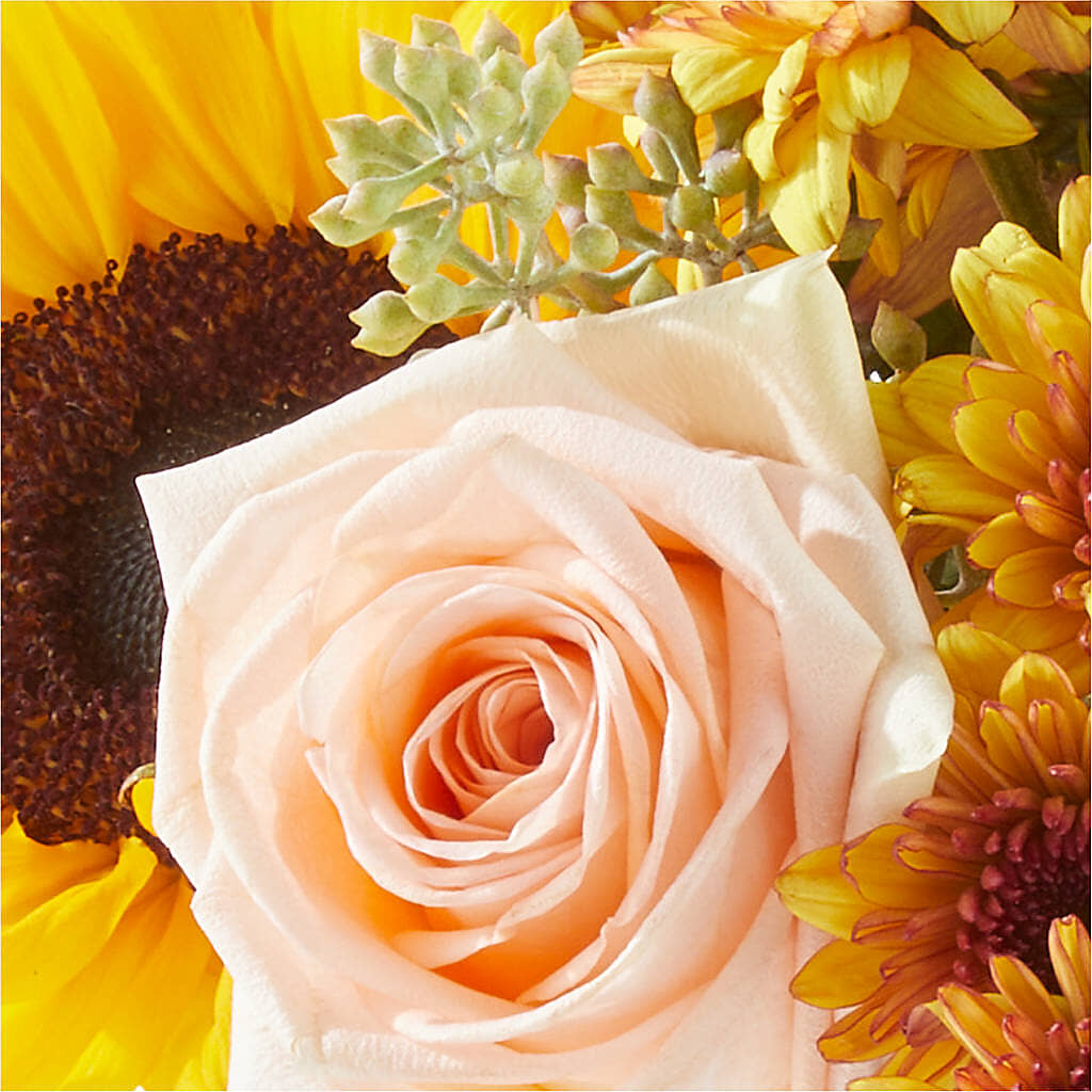 Pumpkin to Talk About Bouquet –  Lighthouse Florist And Custom Designs, Rochester NY
