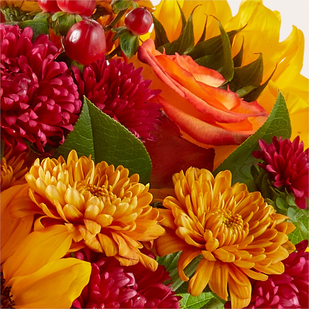Sweater Season - A Florist Original –  Lighthouse Florist And Custom Designs, Rochester NY