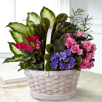 Peaceful Garden Planter –  Lighthouse Florist And Custom Designs, Rochester NY