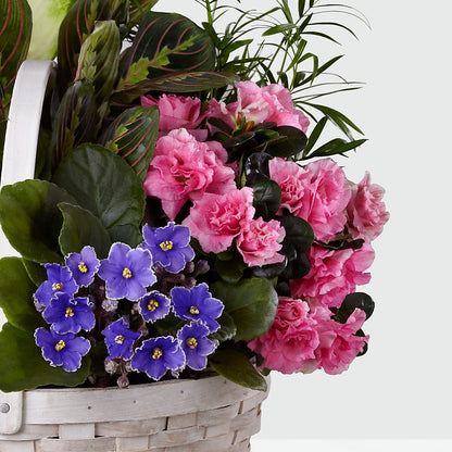 Peaceful Garden Planter –  Lighthouse Florist And Custom Designs, Rochester NY