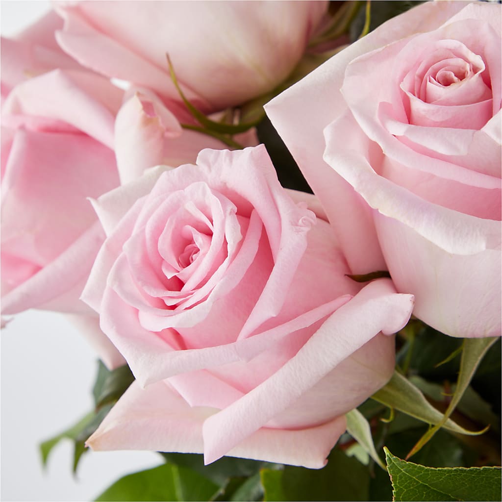 Picture Perfect Pink Rose Bouquet –  Lighthouse Florist And Custom Designs, Rochester NY