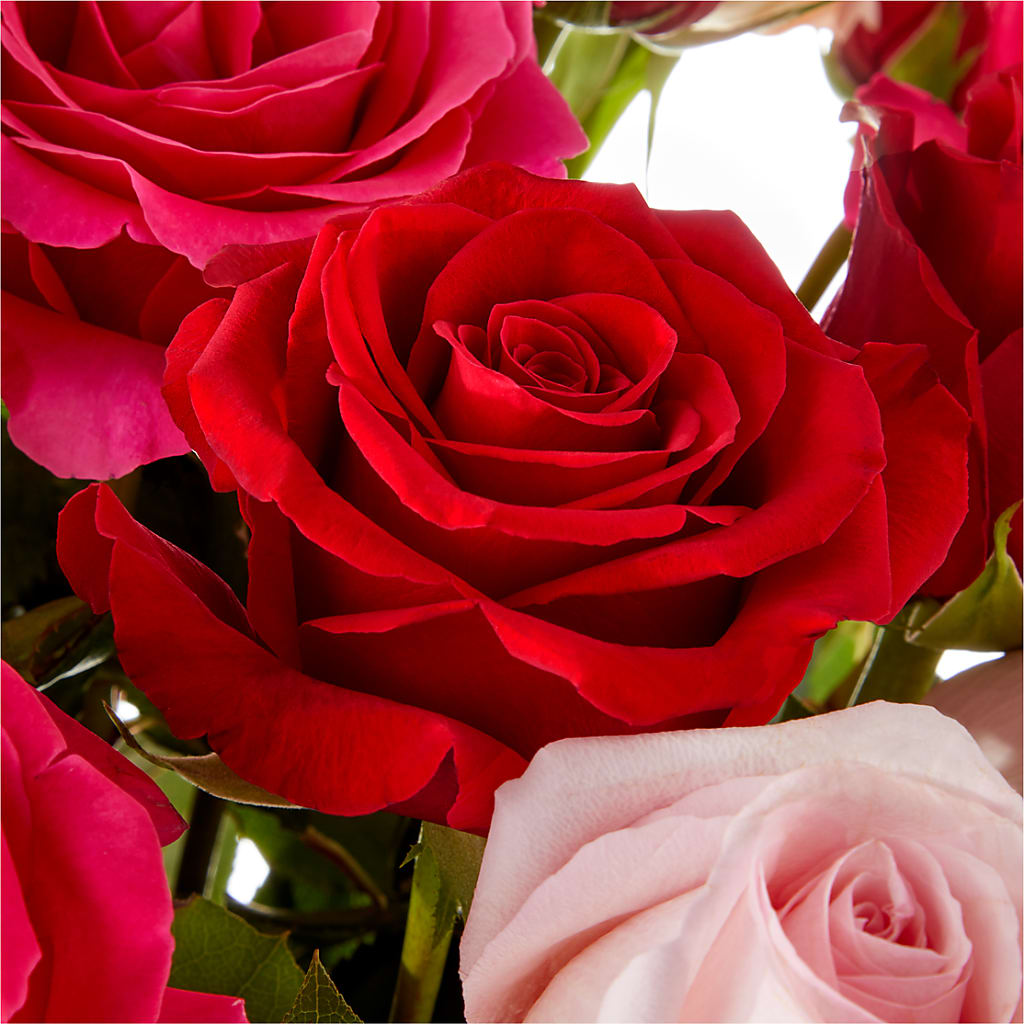Love Notes Rose Bouquet –  Lighthouse Florist And Custom Designs, Rochester NY