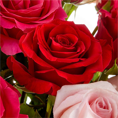 Love Notes Rose Bouquet –  Lighthouse Florist And Custom Designs, Rochester NY
