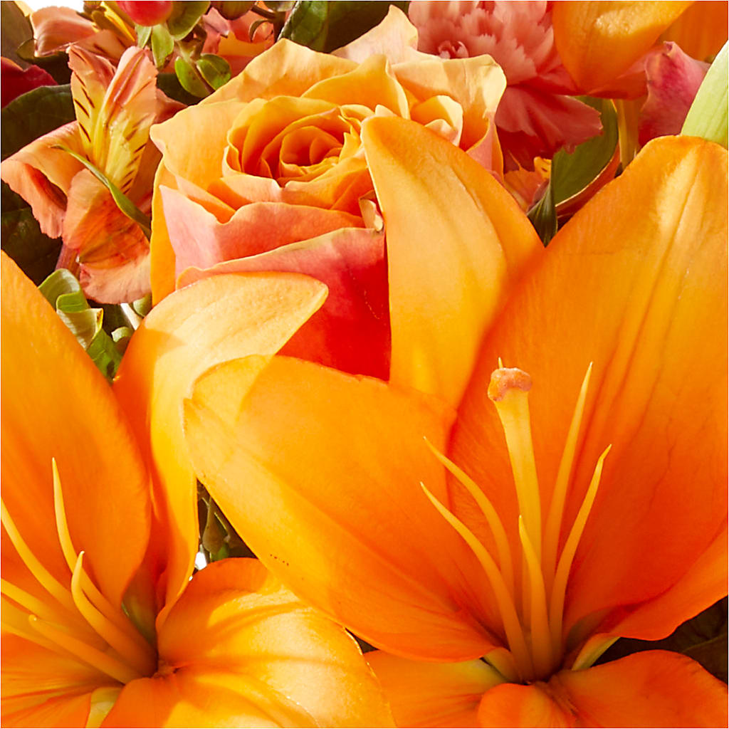 Afternoon Light Bouquet –  Lighthouse Florist And Custom Designs, Rochester NY