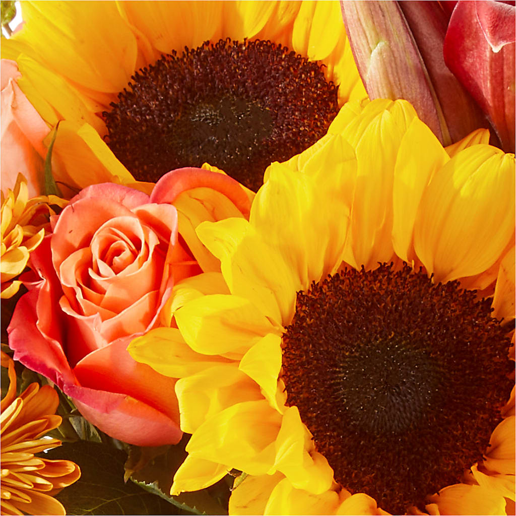 Acorn Lane Bouquet –  Lighthouse Florist And Custom Designs, Rochester NY