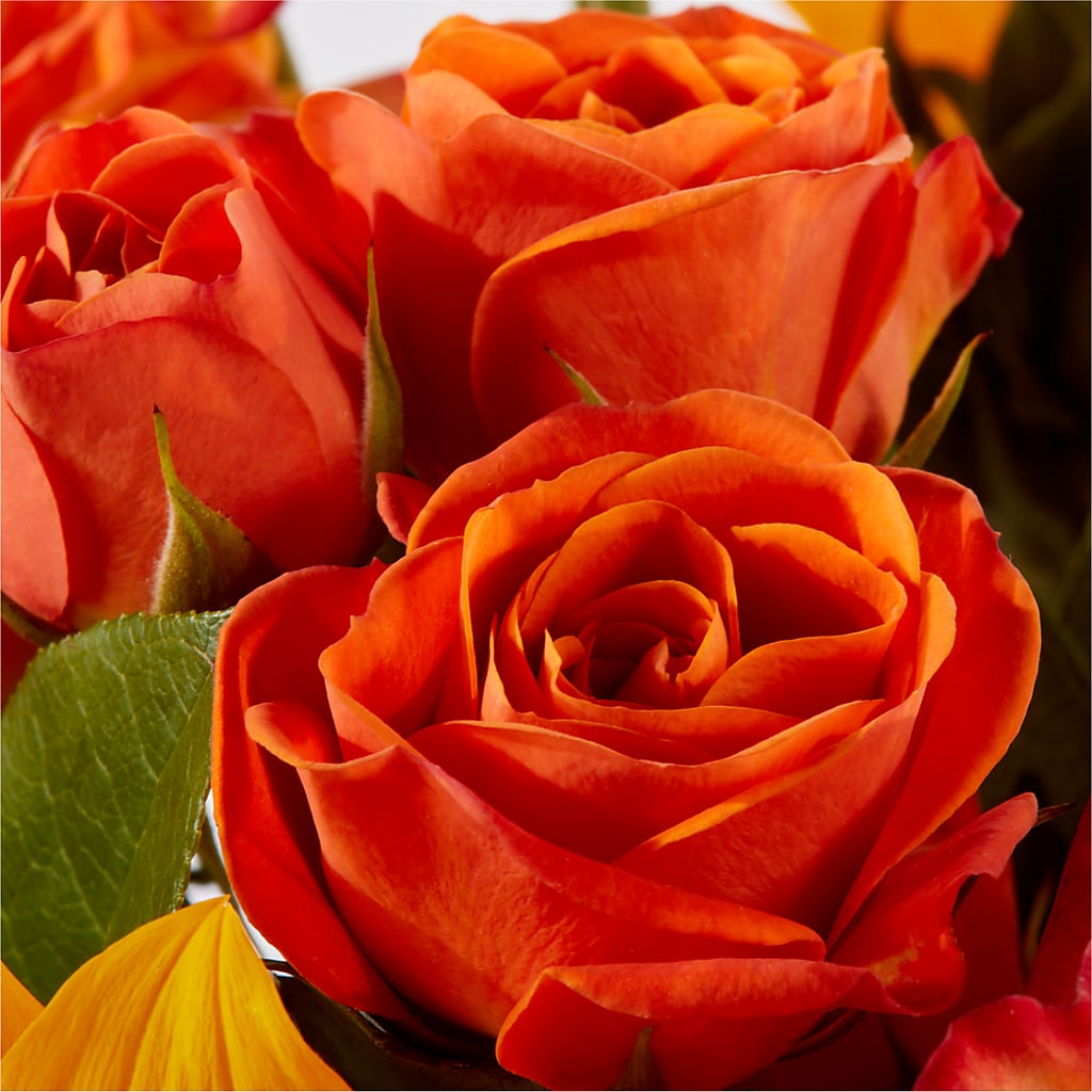 Picnic in the Park Bouquet –  Lighthouse Florist And Custom Designs, Rochester NY