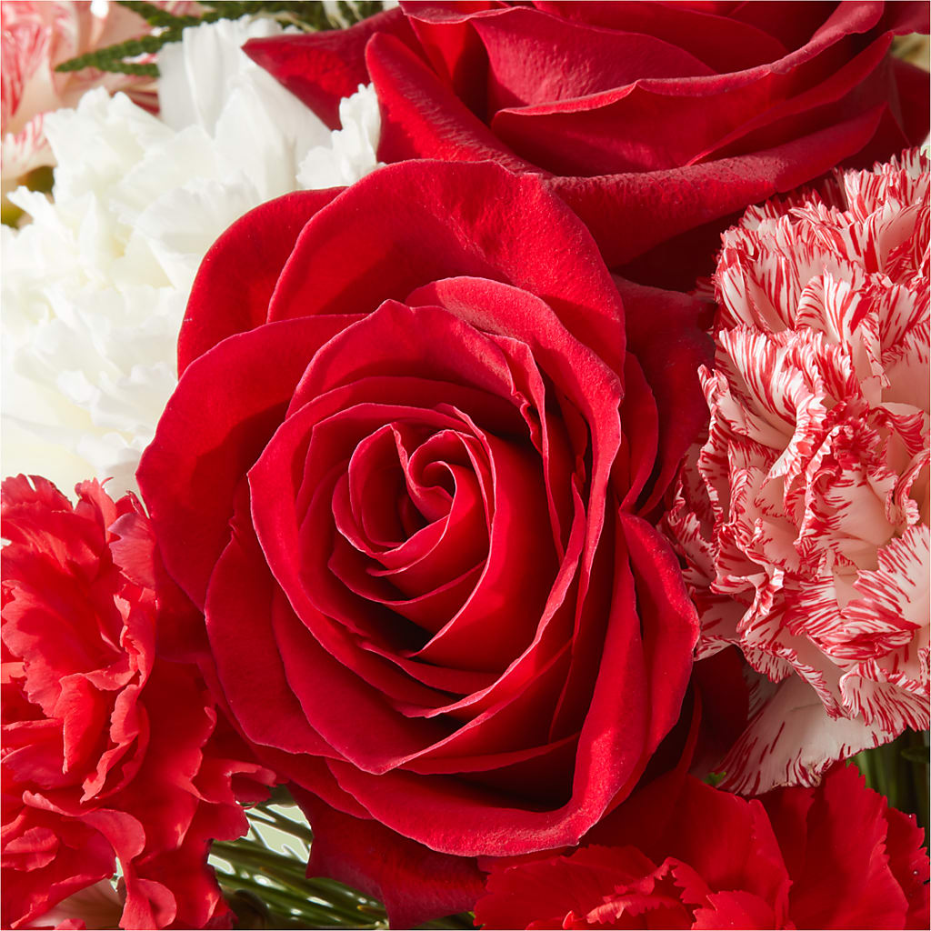 Candy Cane Lane Bouquet –  Lighthouse Florist And Custom Designs, Rochester NY