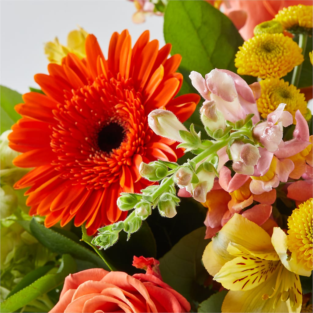 Autumn Sunshine Bouquet –  Lighthouse Florist And Custom Designs, Rochester NY