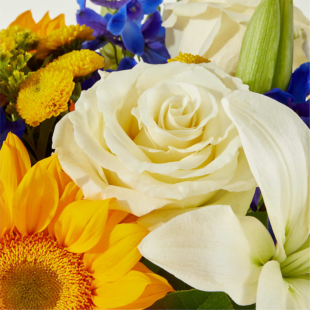 Stargazing Bouquet –  Lighthouse Florist And Custom Designs, Rochester NY