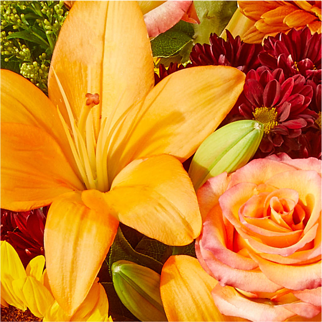 Seasons Change Bouquet –  Lighthouse Florist And Custom Designs, Rochester NY
