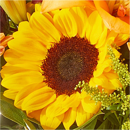 Seasons Change Bouquet –  Lighthouse Florist And Custom Designs, Rochester NY