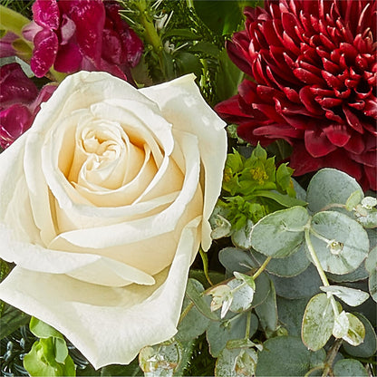 Cranberry Fizz Bouquet –  Lighthouse Florist And Custom Designs, Rochester NY