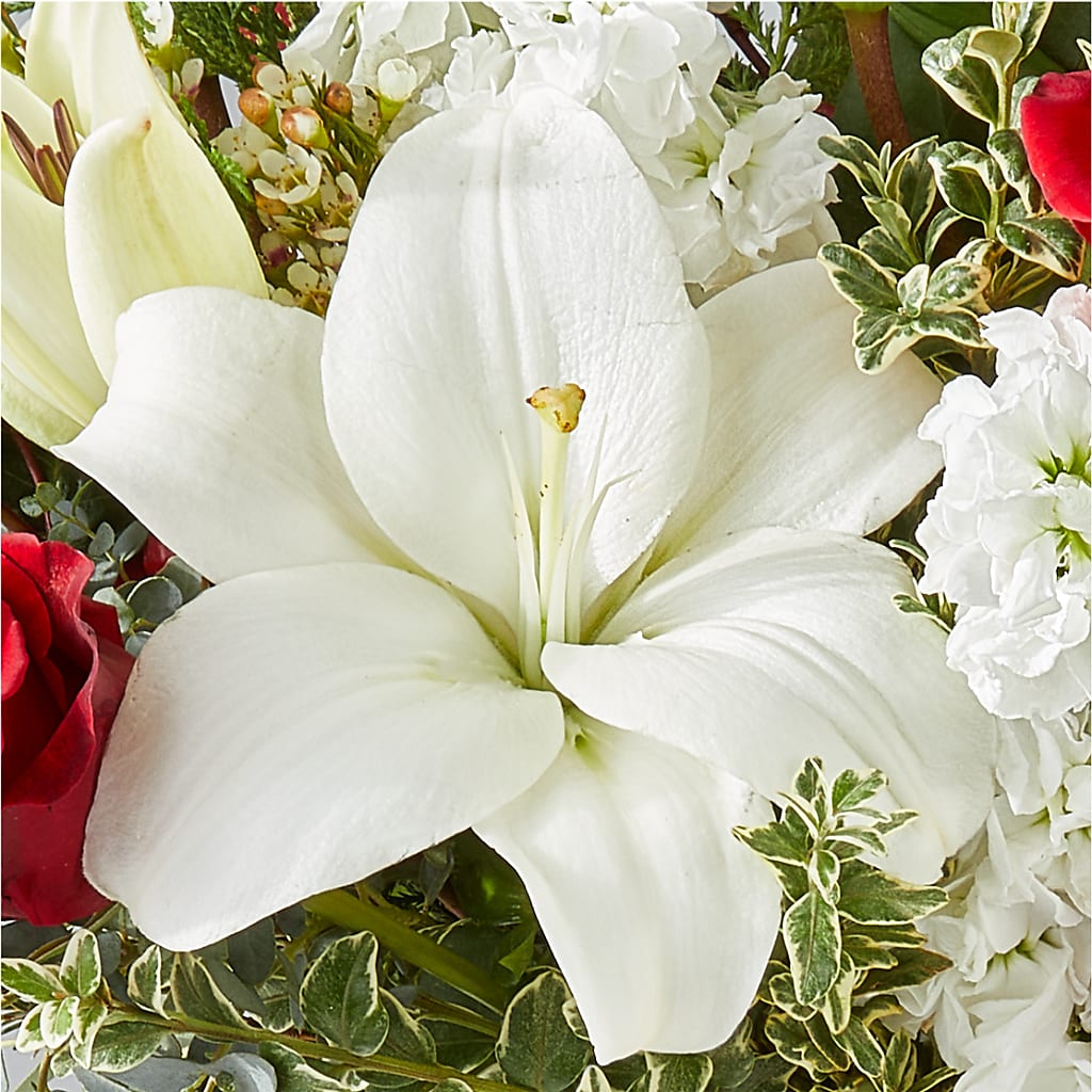 Twinkle Lights Bouquet –  Lighthouse Florist And Custom Designs, Rochester NY