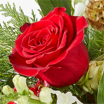 Deck the Halls Bouquet –  Lighthouse Florist And Custom Designs, Rochester NY