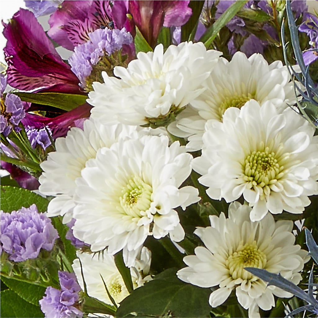 Shooting Star Bouquet –  Lighthouse Florist And Custom Designs, Rochester NY