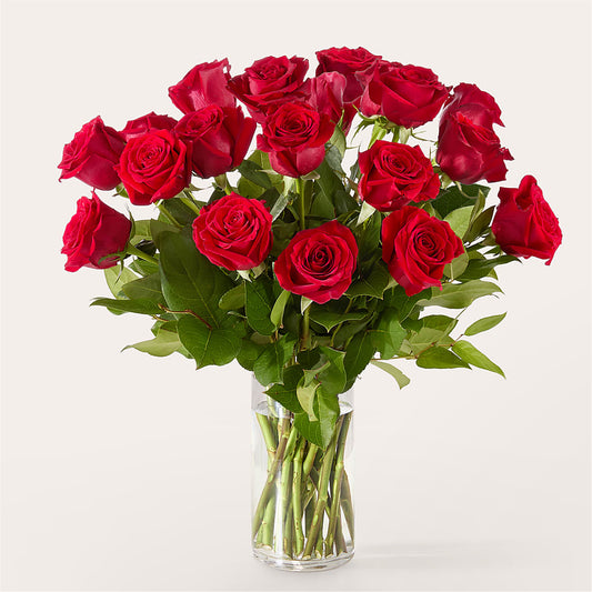 The One Red Rose Bouquet –  Lighthouse Florist And Custom Designs, Rochester NY