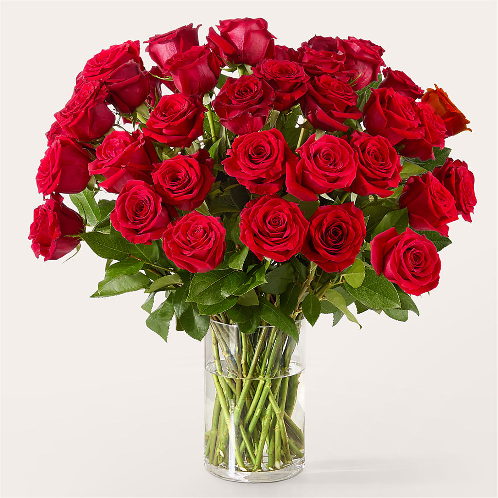 The One Red Rose Bouquet –  Lighthouse Florist And Custom Designs, Rochester NY