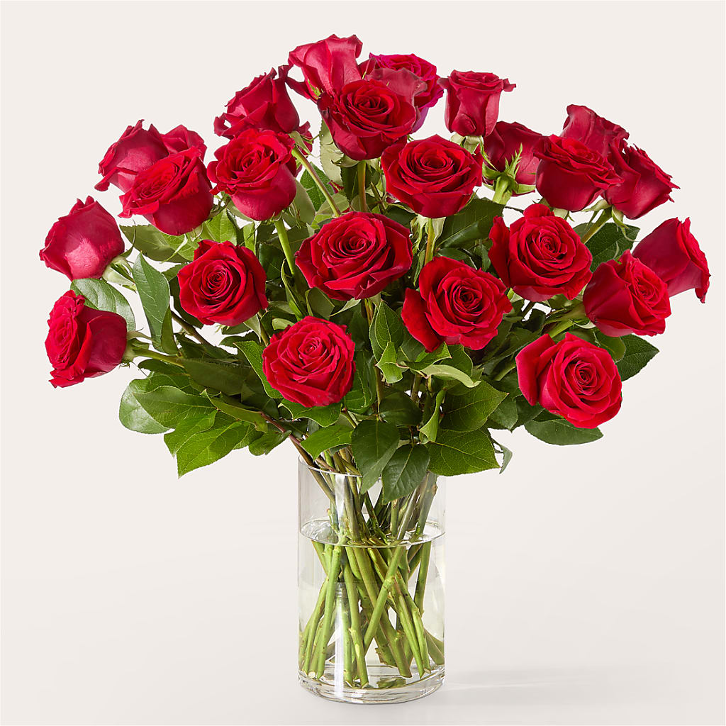 The One Red Rose Bouquet –  Lighthouse Florist And Custom Designs, Rochester NY