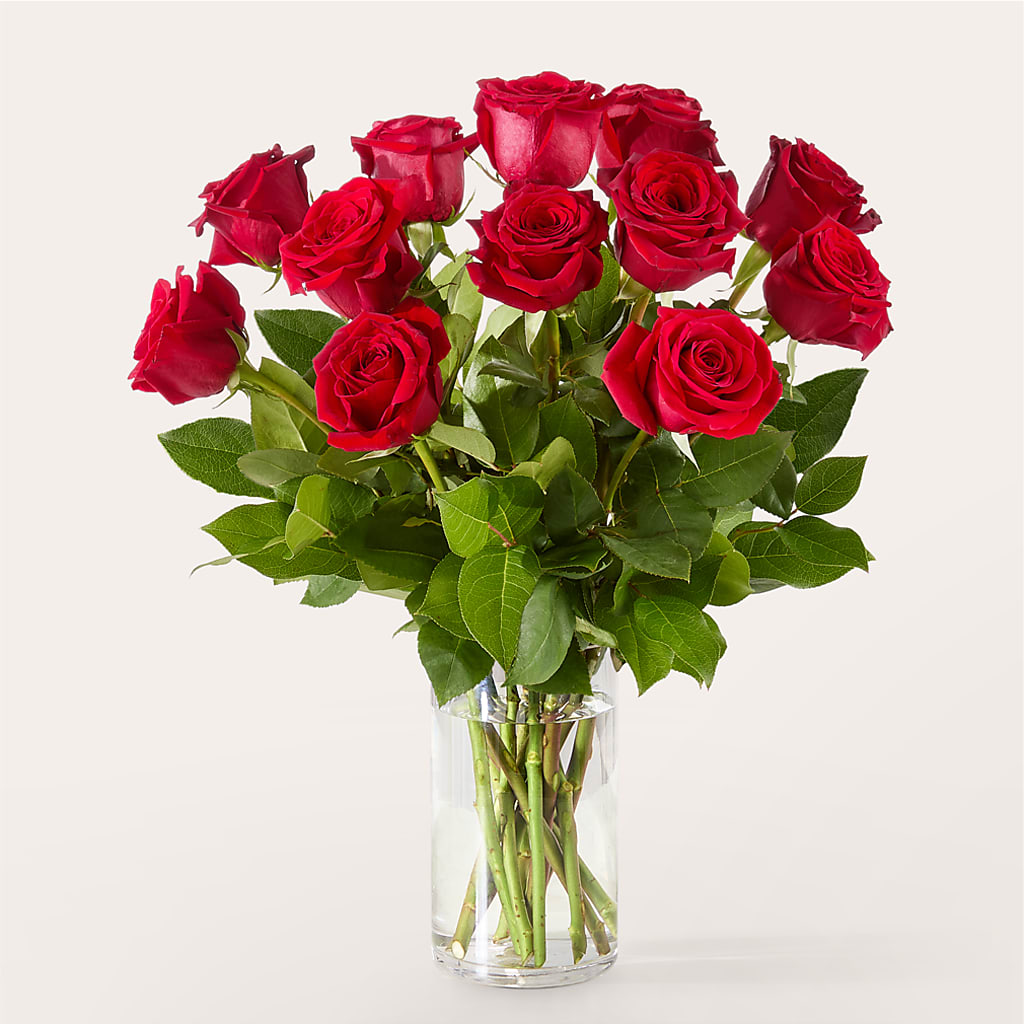 The One Red Rose Bouquet –  Lighthouse Florist And Custom Designs, Rochester NY