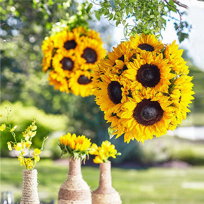 Sublime Garden Hanging Arrangement –  Lighthouse Florist And Custom Designs, Rochester NY