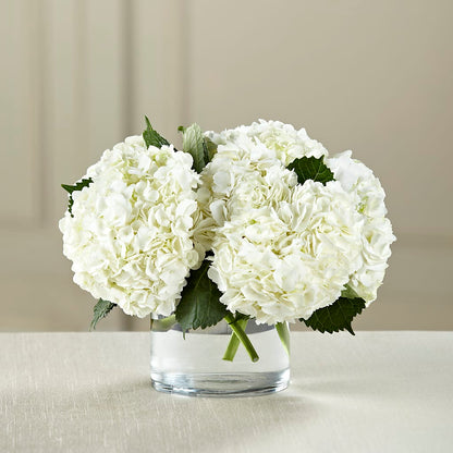 White Hydrangea Bouquet –  Lighthouse Florist And Custom Designs, Rochester NY