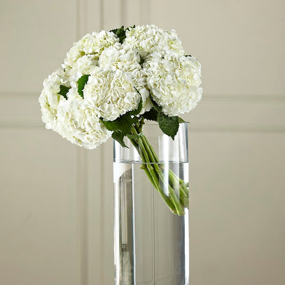 White Hydrangea Hand-Tied Bouquet –  Lighthouse Florist And Custom Designs, Rochester NY