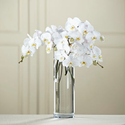 White Phalaenopsis Bouquet –  Lighthouse Florist And Custom Designs, Rochester NY